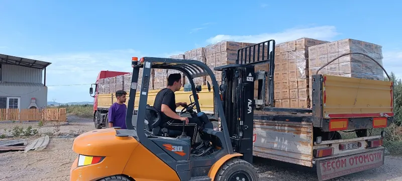Forklift chargeant une cargaison sur un camion — moment du chargement OTP